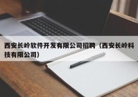 西安长岭软件开发有限公司招聘（西安长岭科技有限公司）