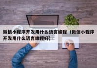 微信小程序开发用什么语言编程（微信小程序开发用什么语言编程好）