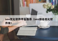 seo优化软件平台推荐（seo排名优化软件有）