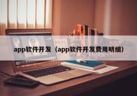 app软件开发（app软件开发费用明细）